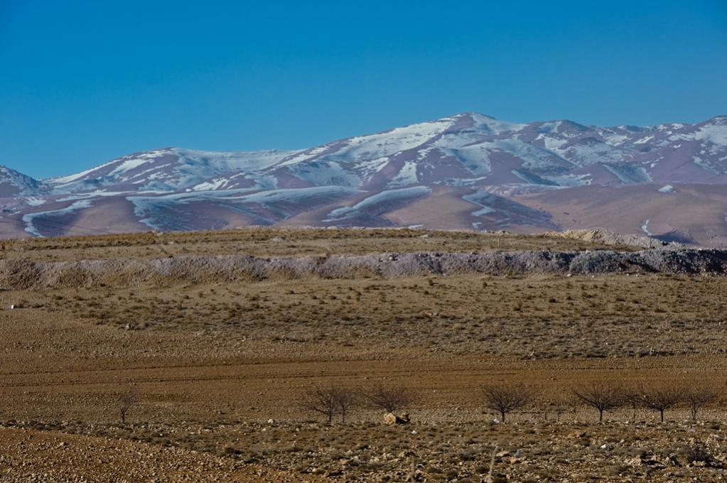 DSC5592 1