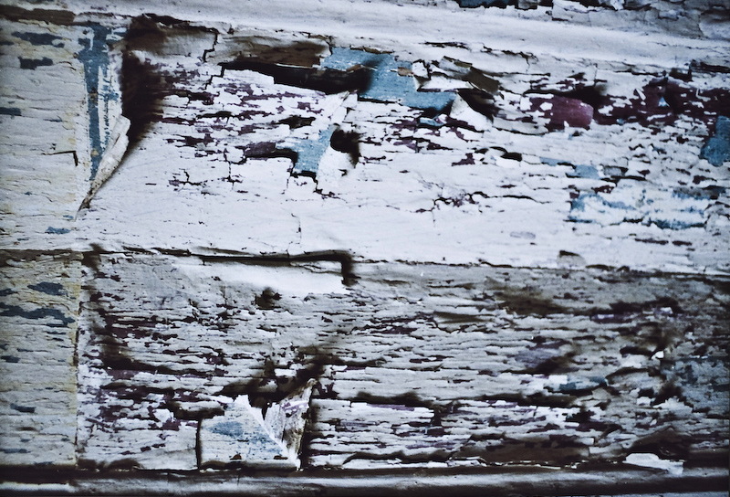 DSC5645