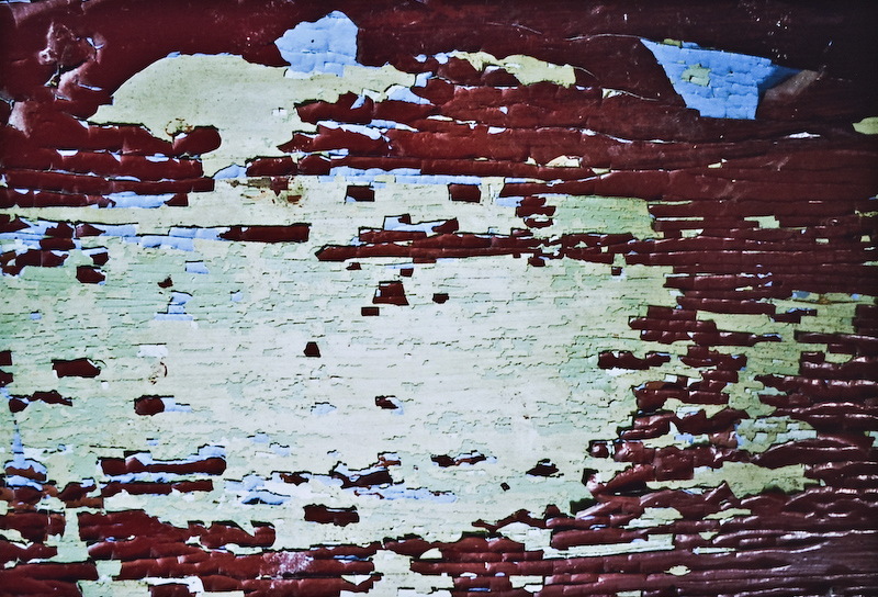 DSC5652