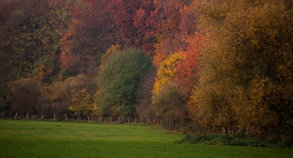 DSC5695 2_final