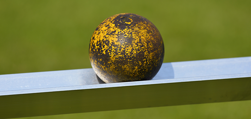 DSC5705 001 1024px