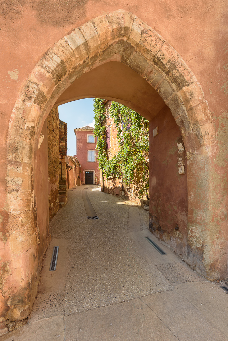 DSC5719