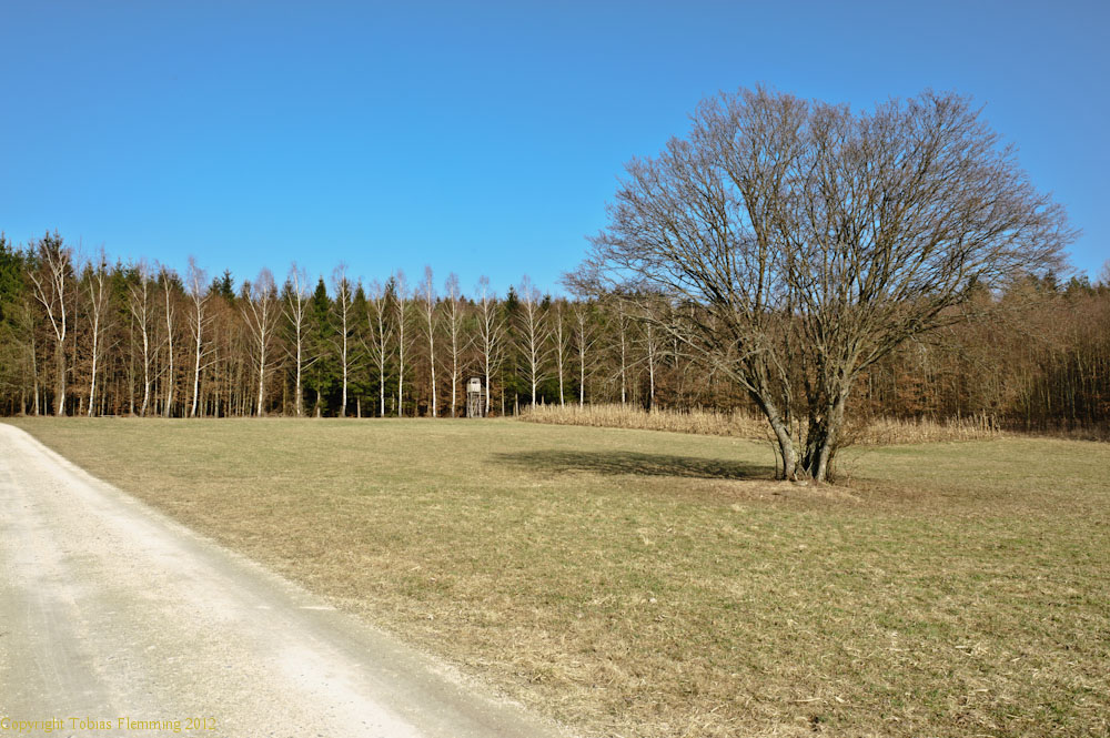 DSC5834