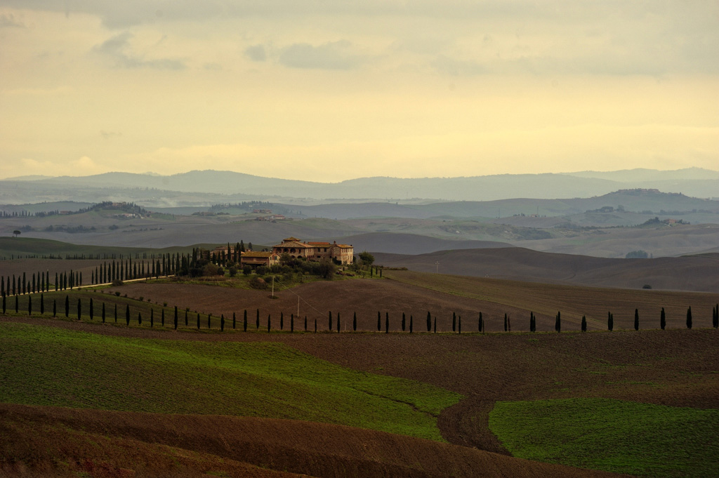 DSC5847 5806 DSC5847ww