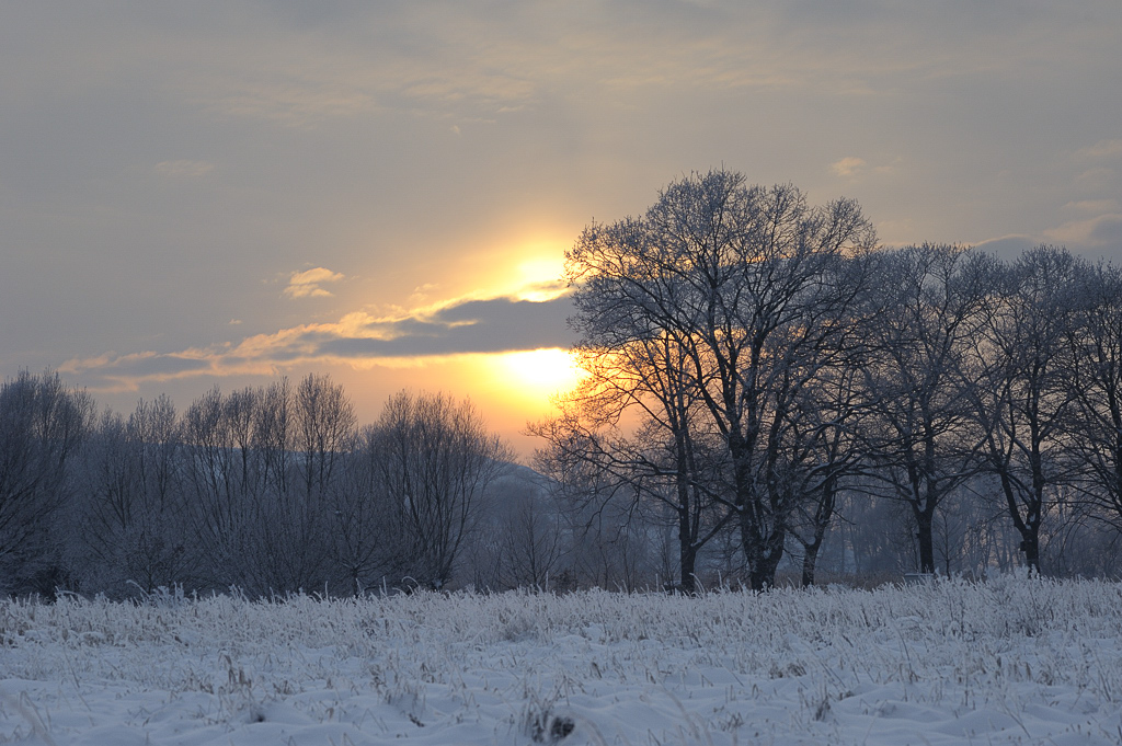 DSC5884 nff