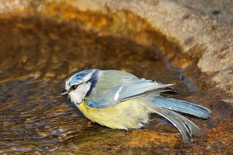 DSC5956