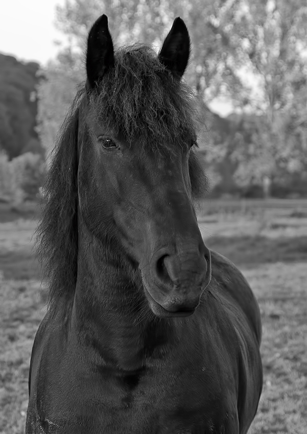 DSC5957 Kopie