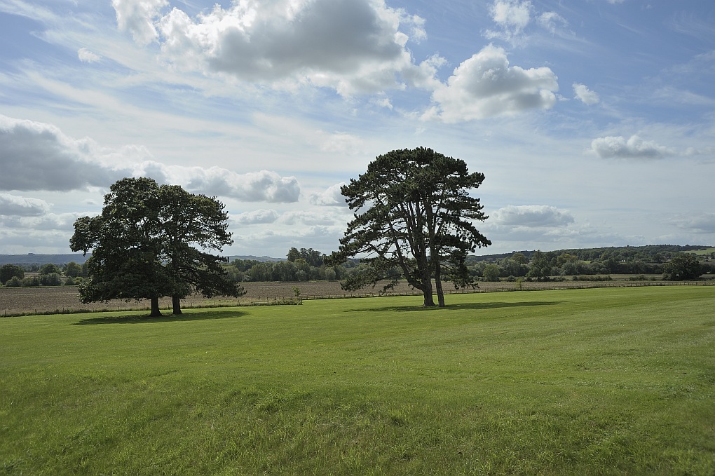 DSC6084 nff
