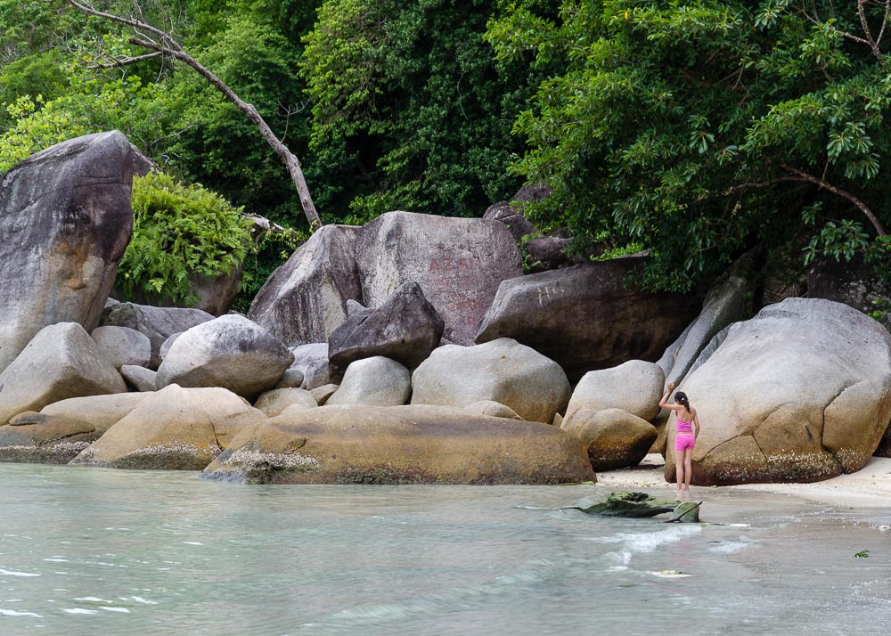DSC6338
Turtle-Bay Perhentian