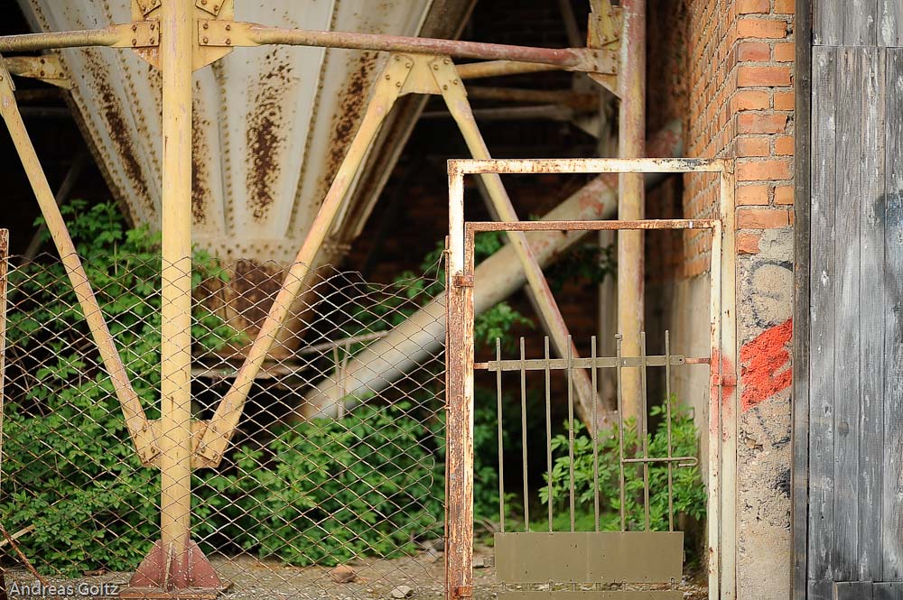 DSC6448, Zeiss Distagon 85 mm/1.4