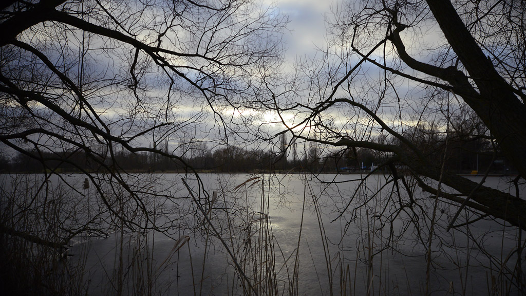 DSC6483 See