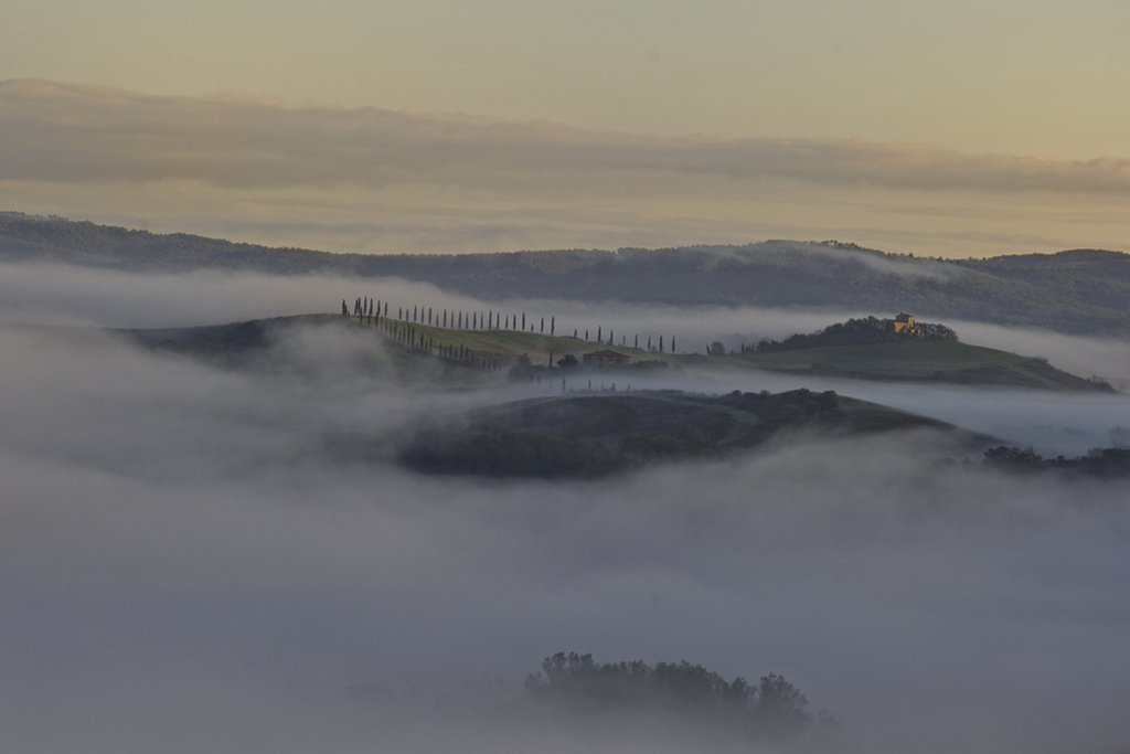 DSC6543 5504 DSC6543ww