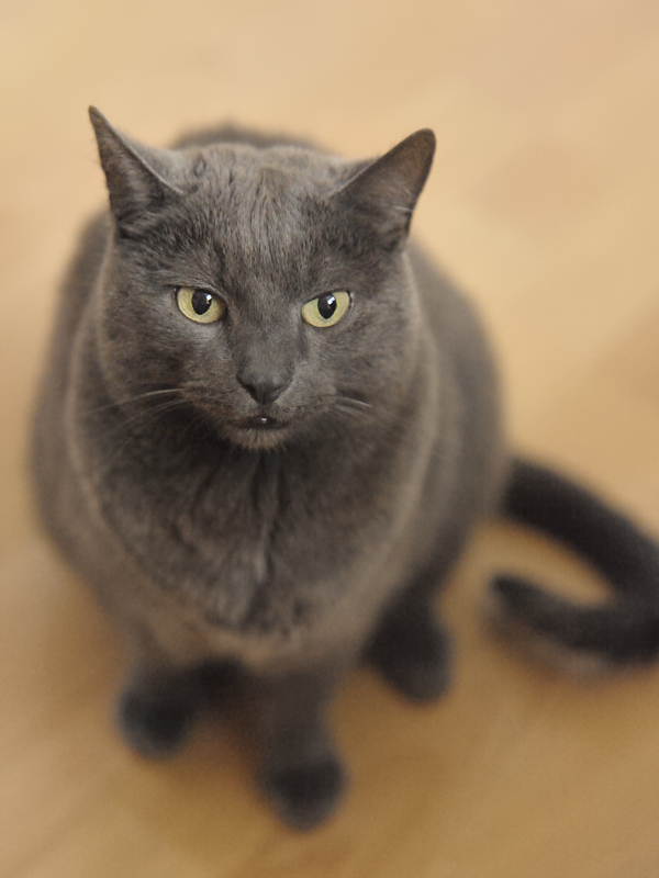 DSC6689 nff