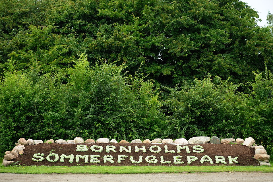 DSC6875 NF-F
Sommerfuglepark