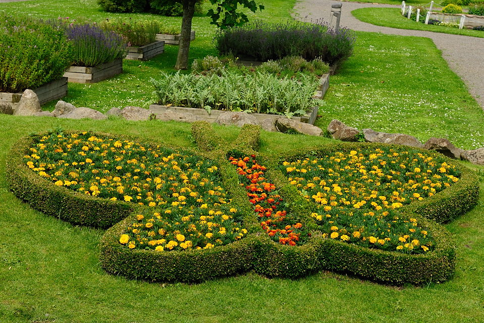 DSC6920 NF-F
Sommerfuglepark