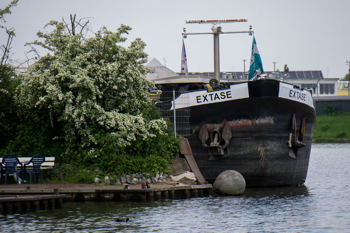 DSC7064