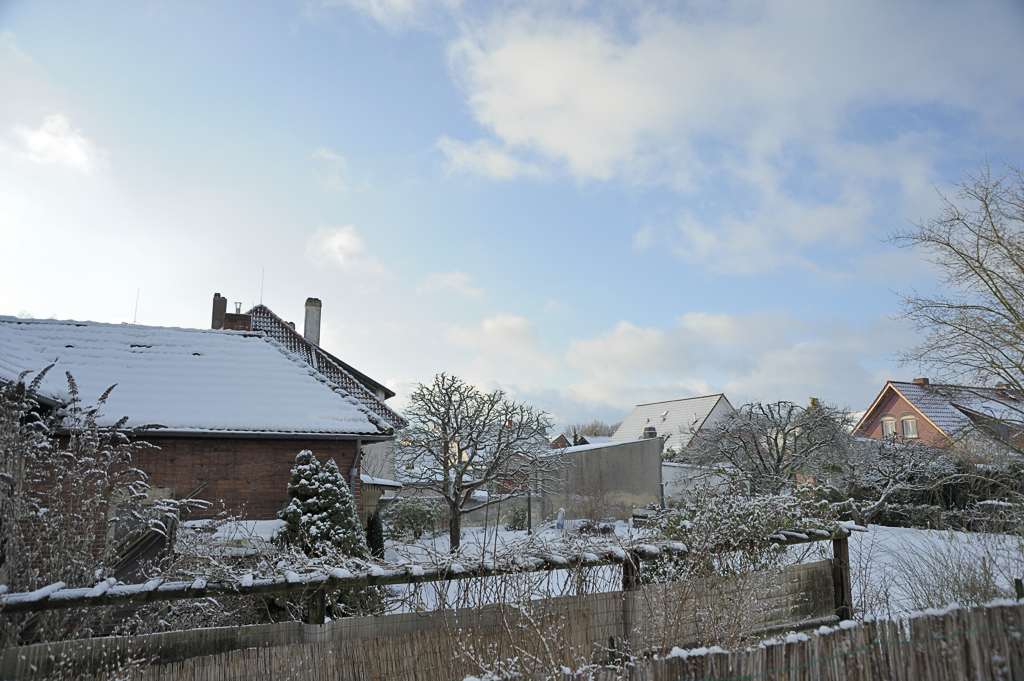 DSC7295 nff