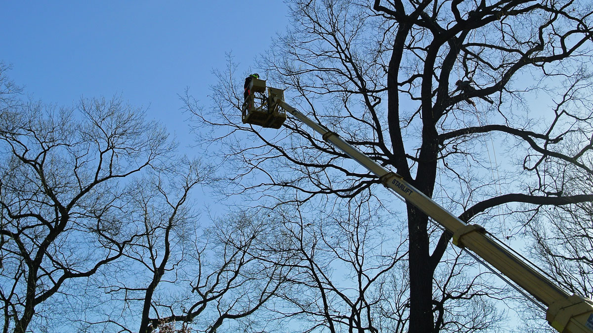 DSC7457APxl