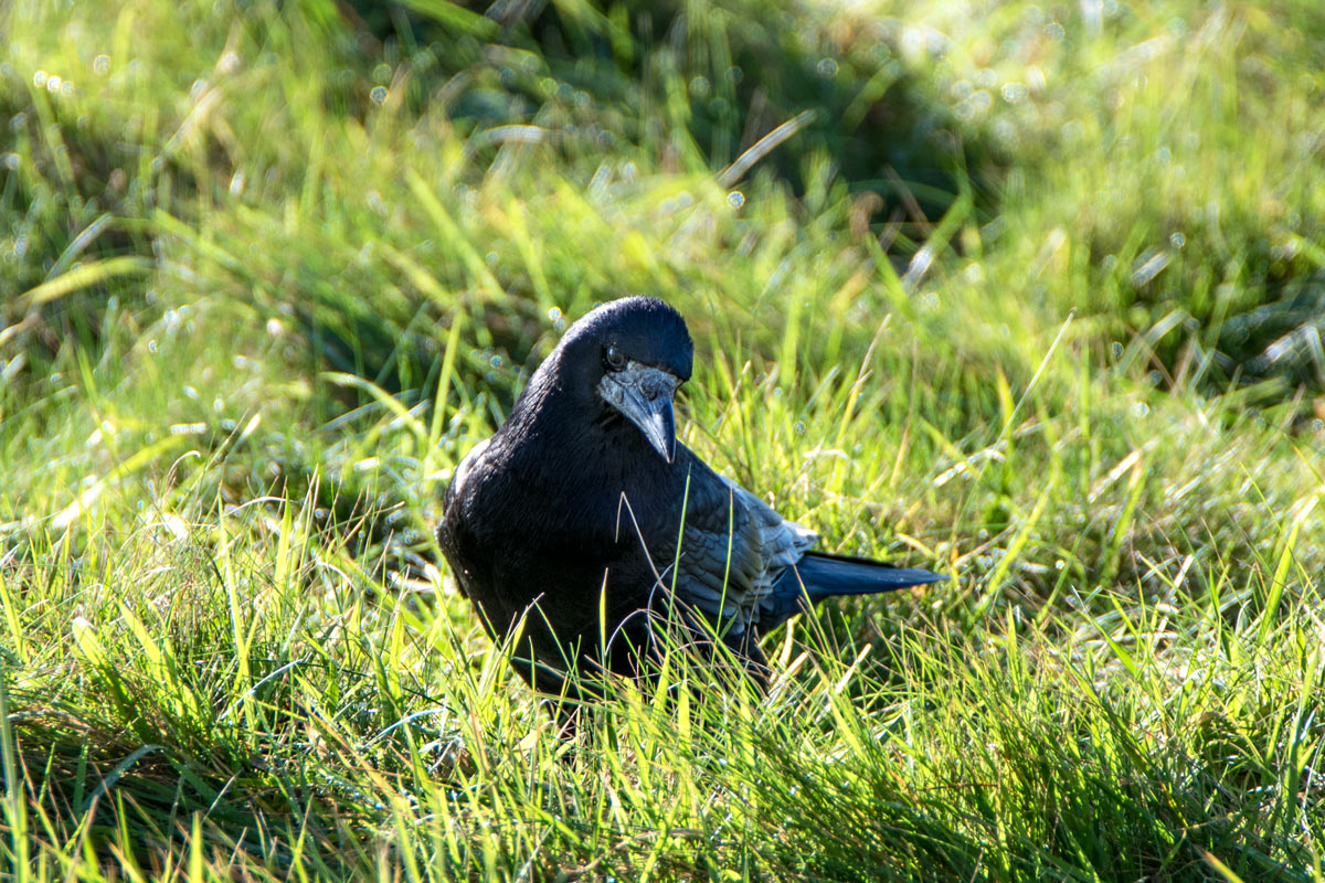 DSC7514 Bearbeitet