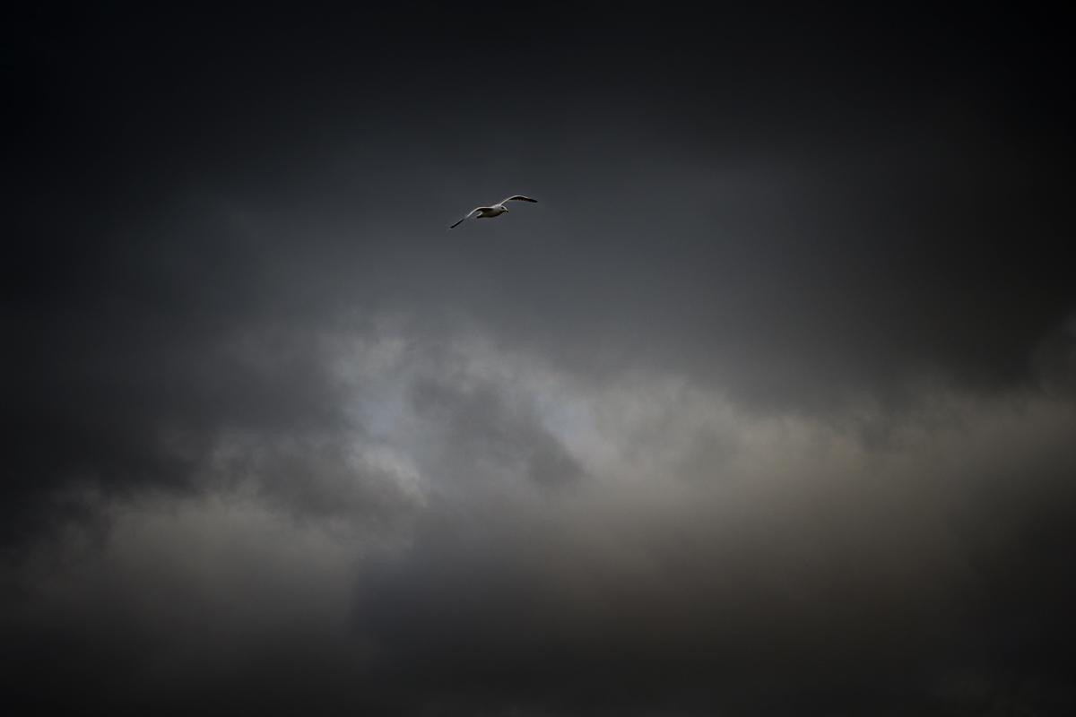 DSC7579 w