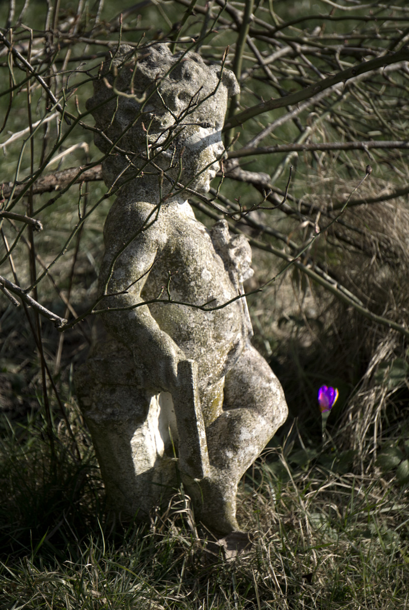 DSC7621 w