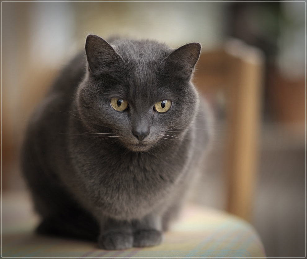 DSC7678