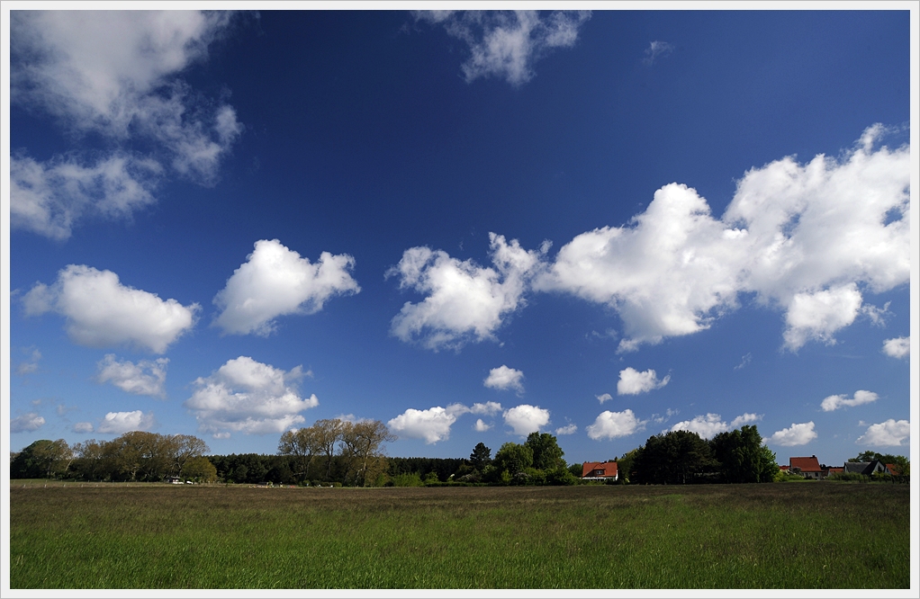 DSC7745 nff