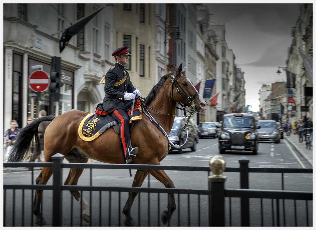 DSC7774 nff col
