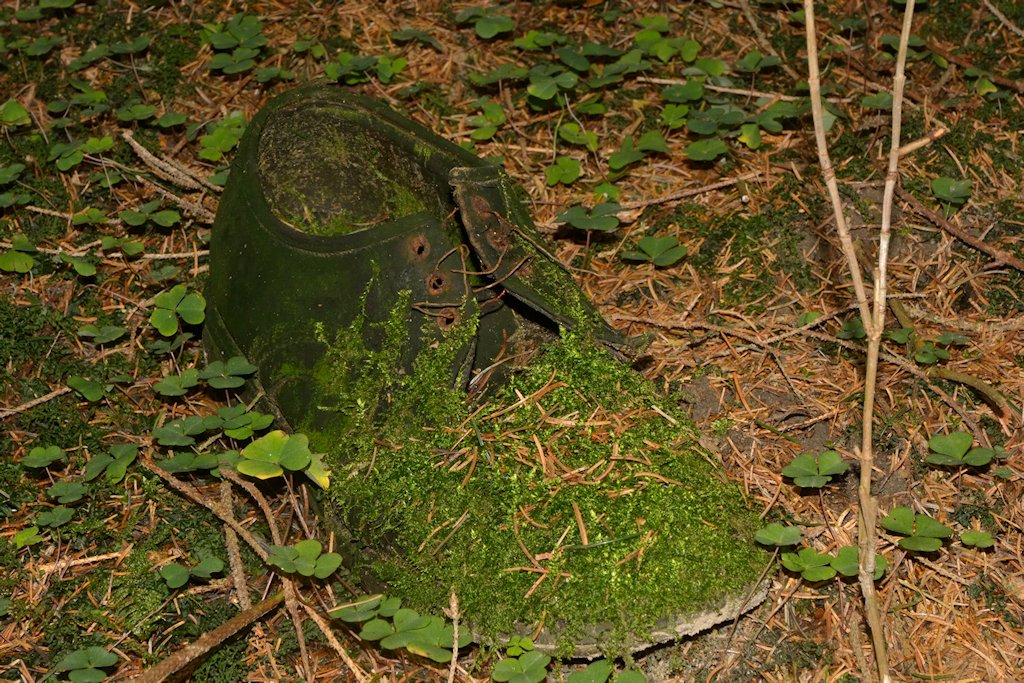 DSC8167
