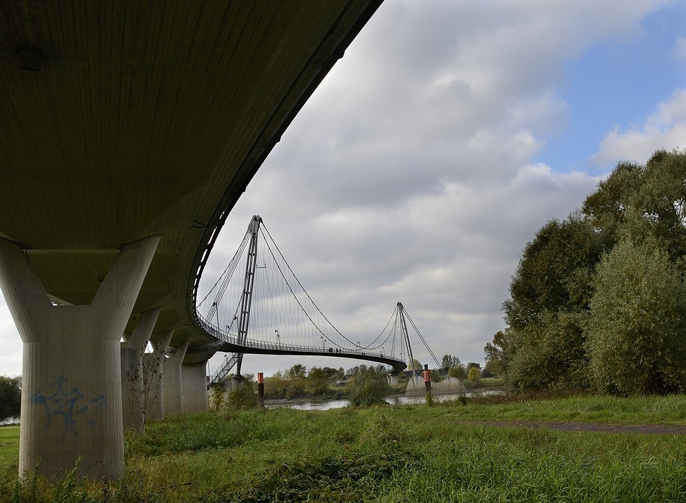 DSC8206