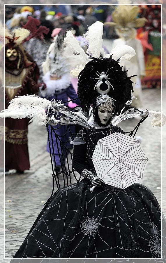 DSC8228 nff