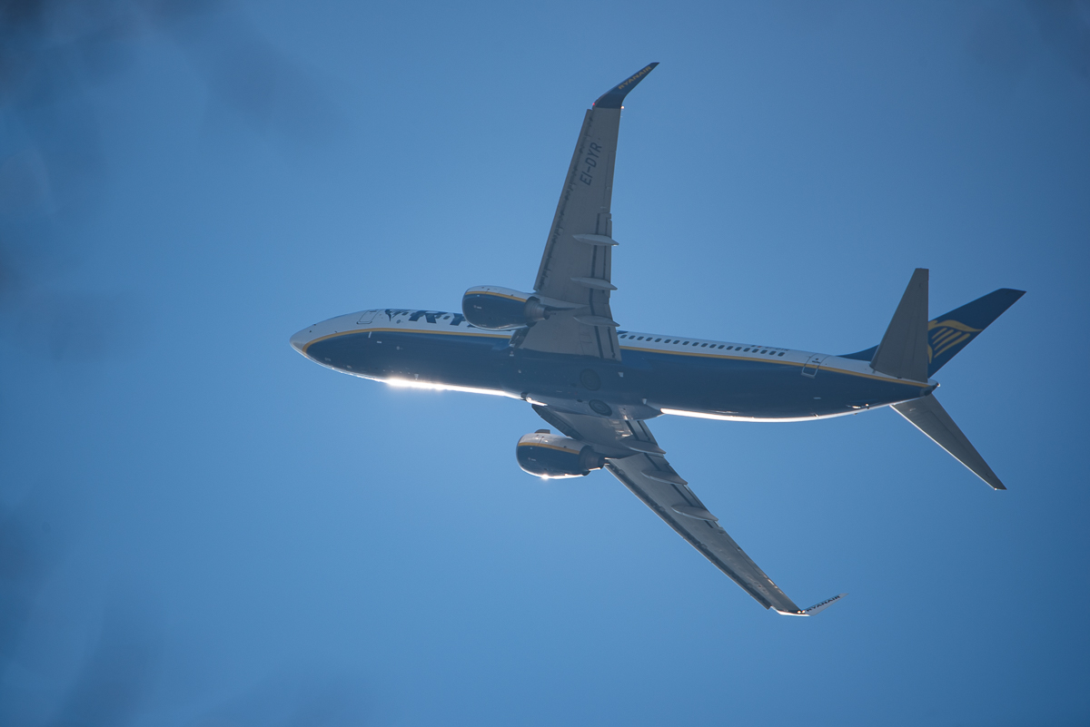 DSC8305 w