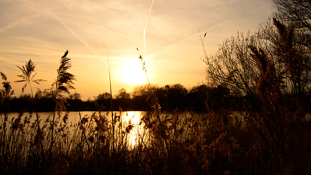 DSC8329 Sonnenuntergang