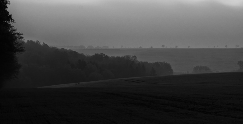 DSC8333 Bearbeitet Bearbeitet