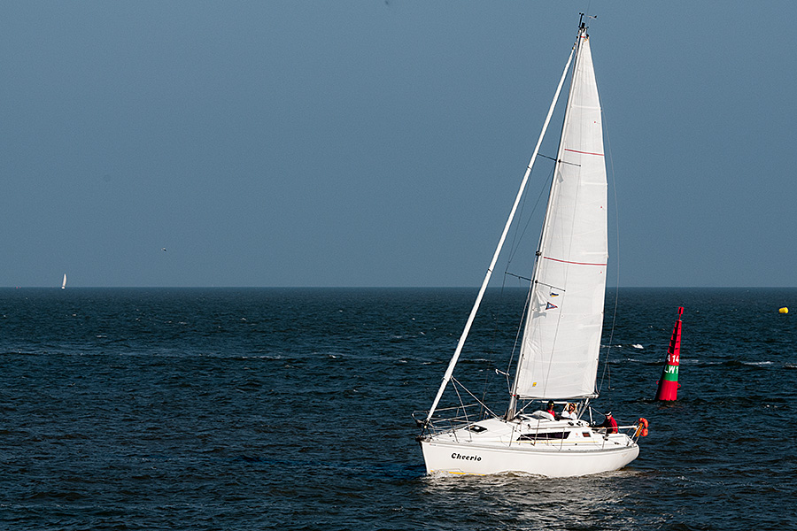 DSC8347