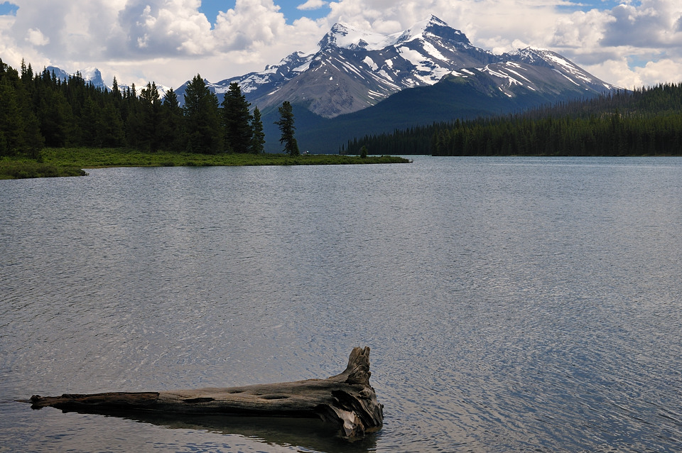 DSC8542 NF-F
Maligne Lake
Jasper