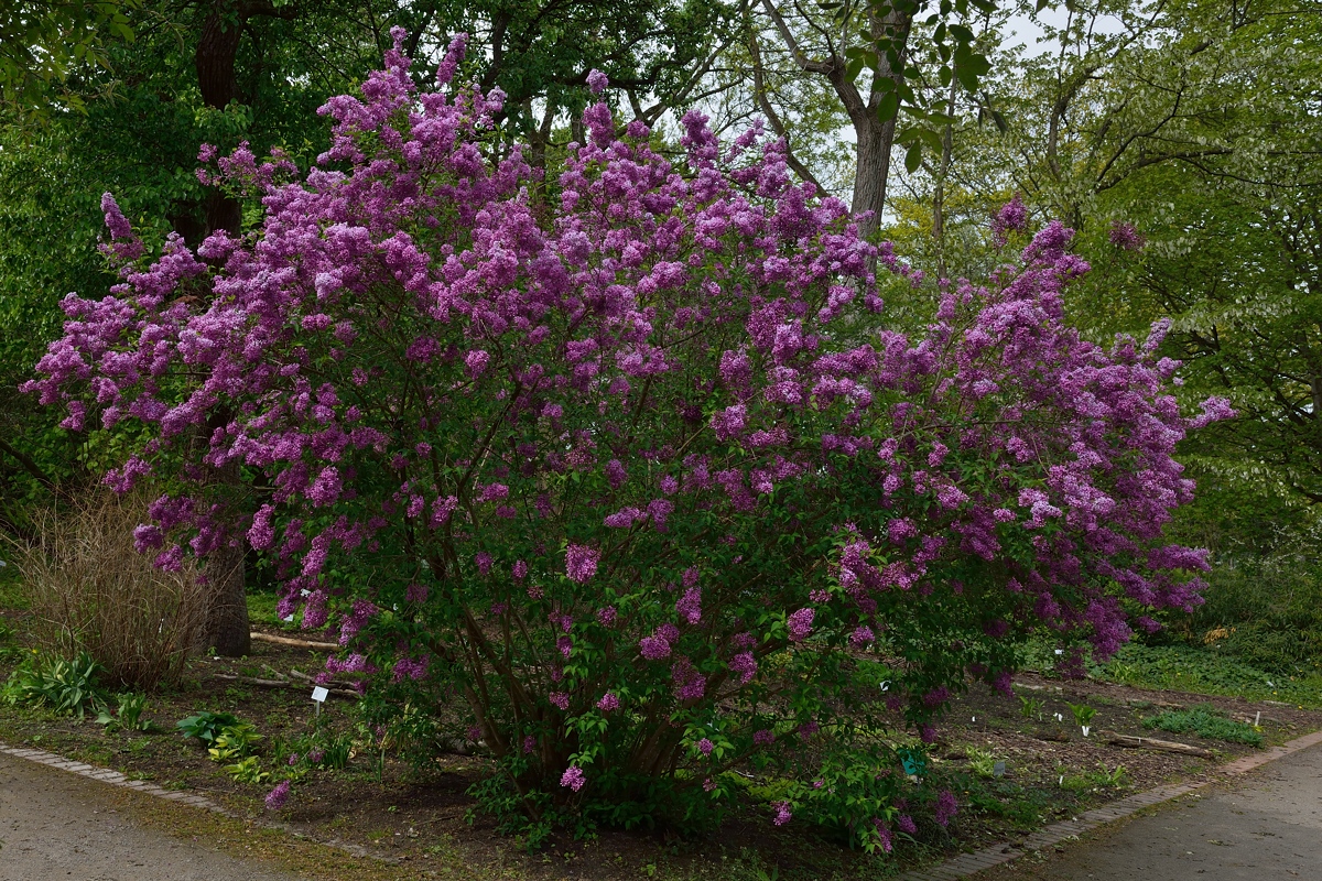 DSC8559_klein.jpg