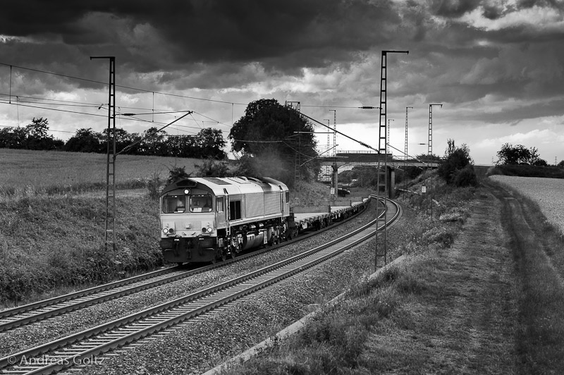 DSC8795