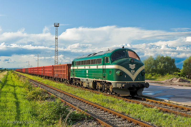 DSC8821