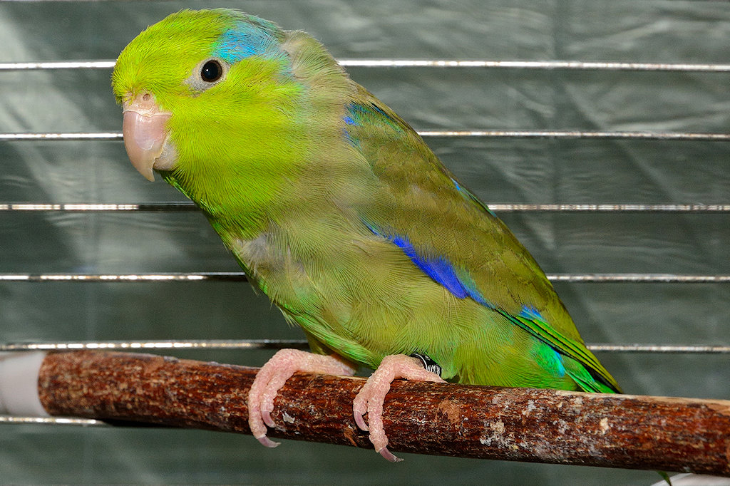 DSC8918