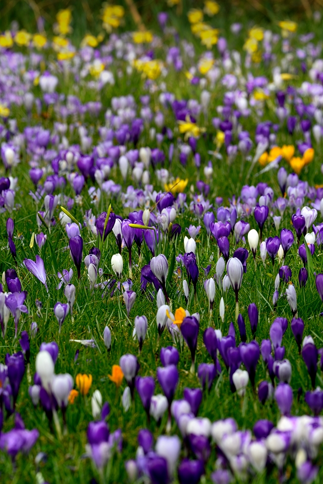 DSC9192_klein_neu.jpg