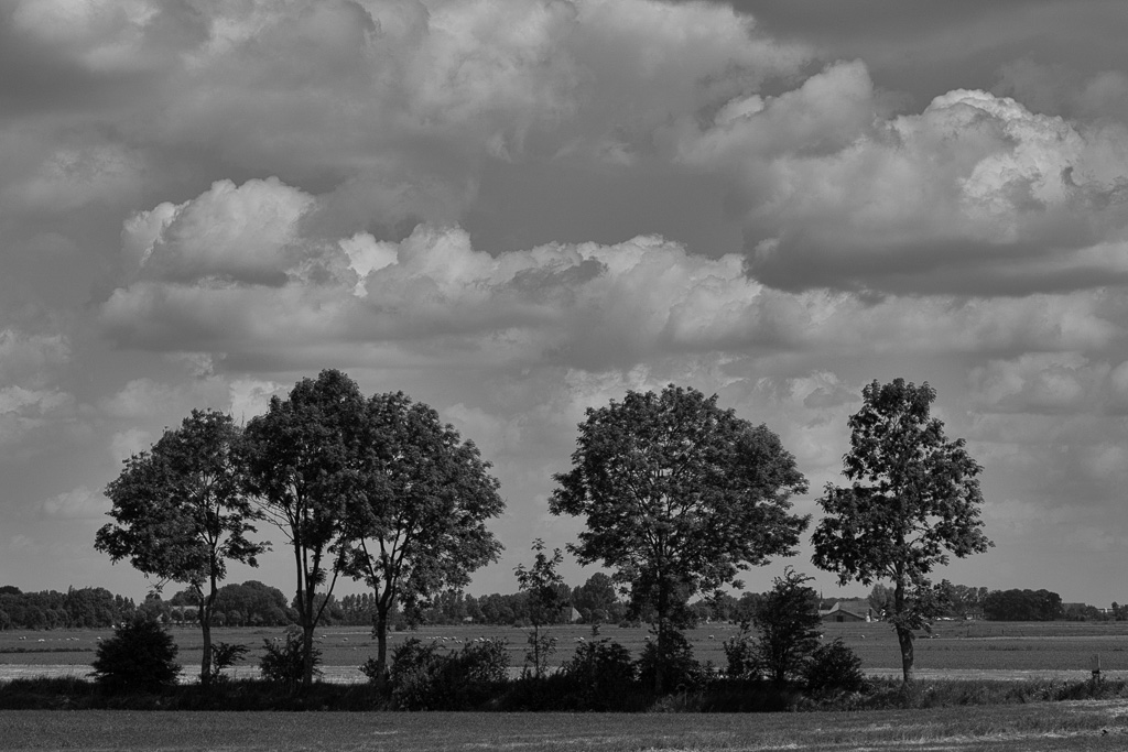 DSC9631 Bearbeitet