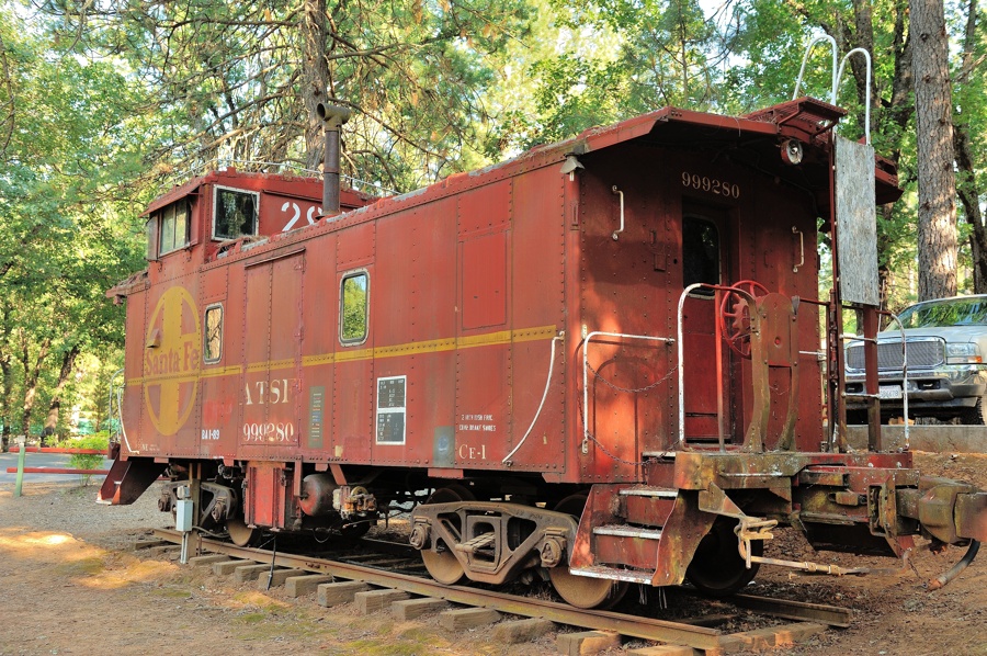 DSC9868