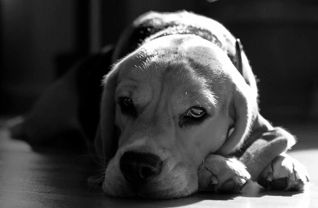 DSC9884_2