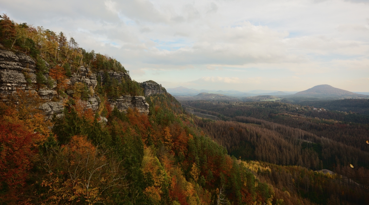 DSC_0014_00001n.jpg