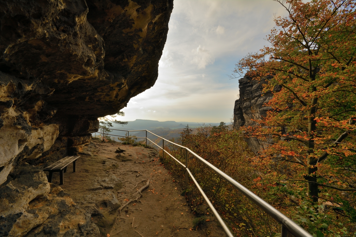 DSC_0016_00001n.jpg
