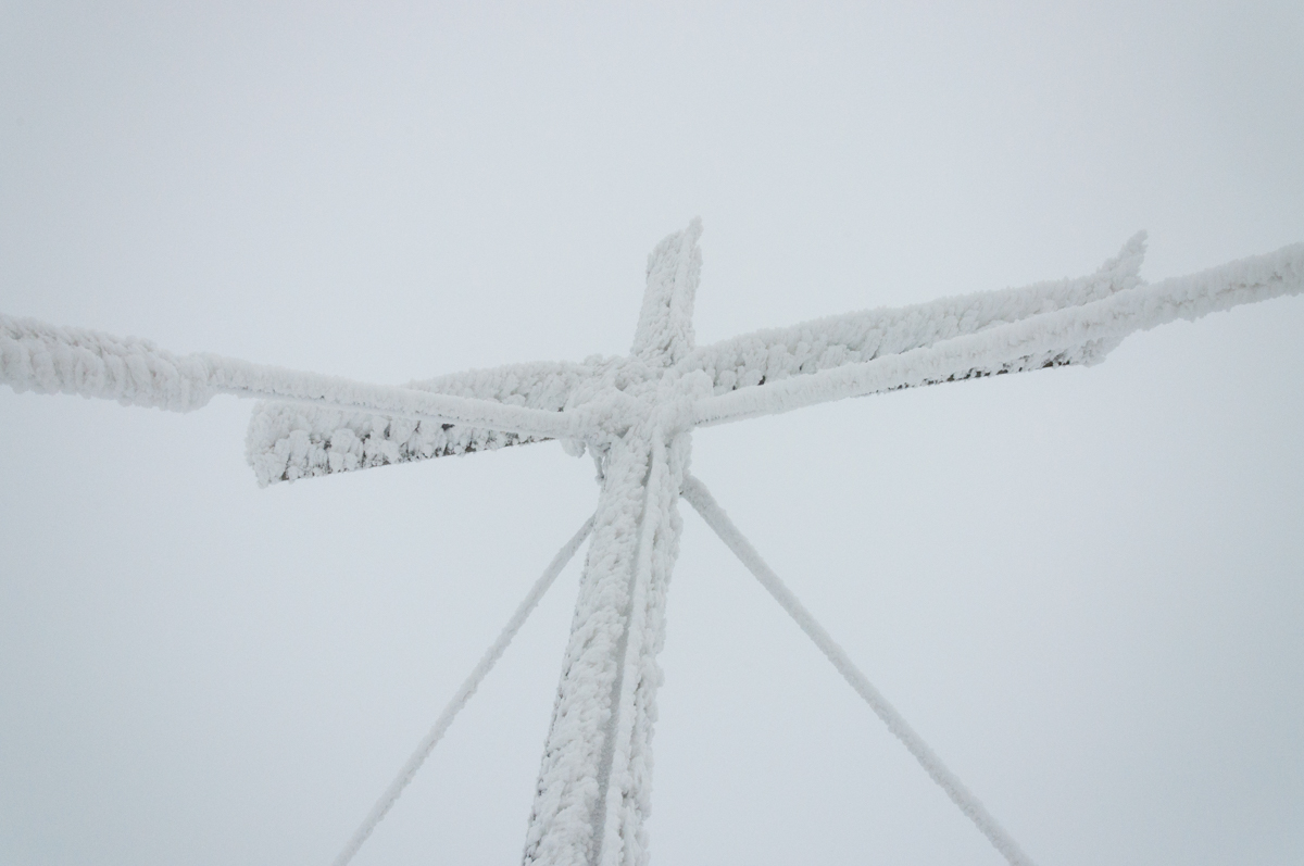 DSC_0017.jpg