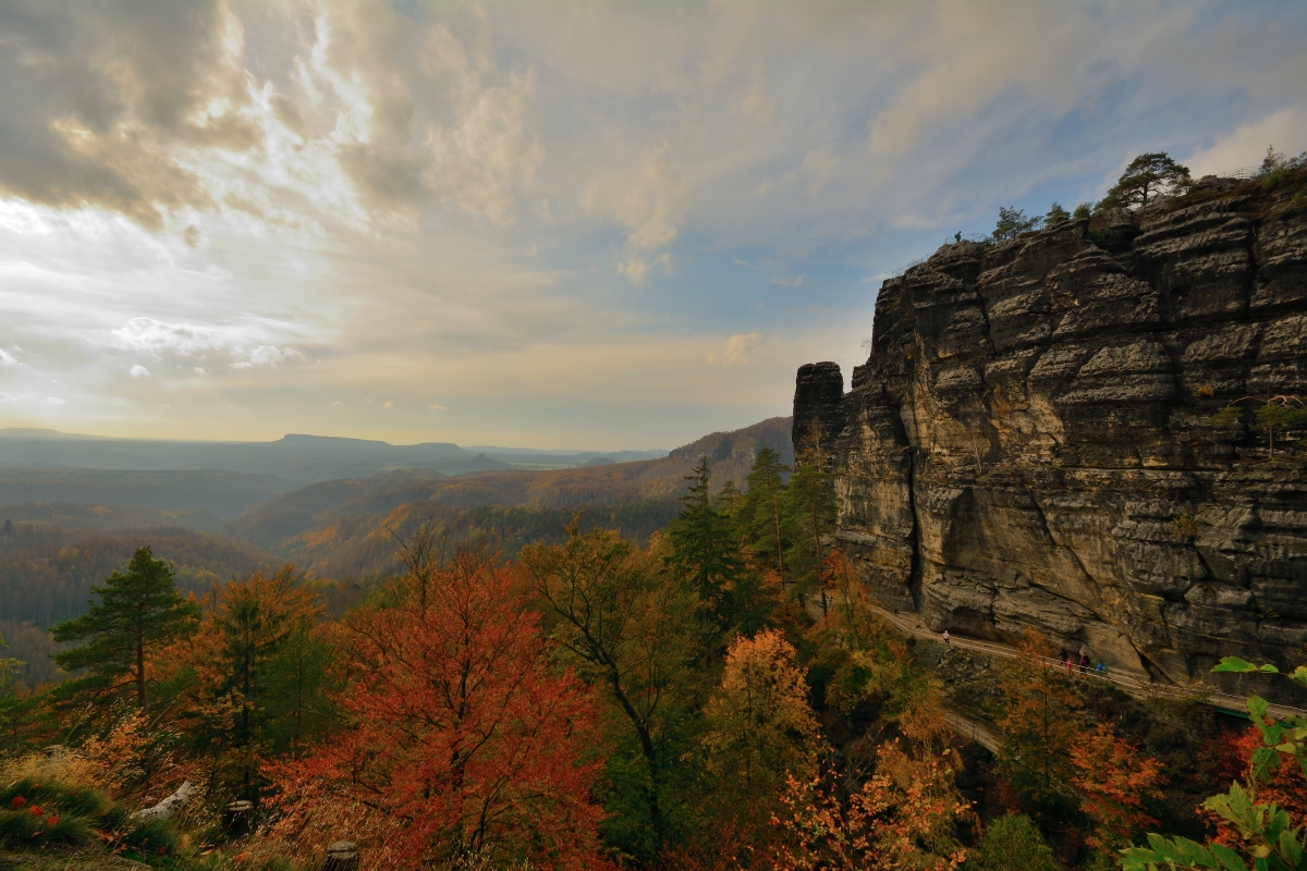DSC_0017_00001_01n.jpg