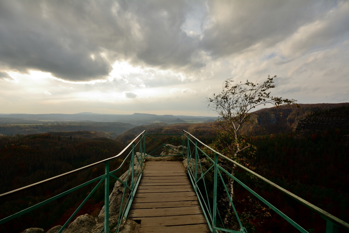 DSC_0039_00001n.jpg