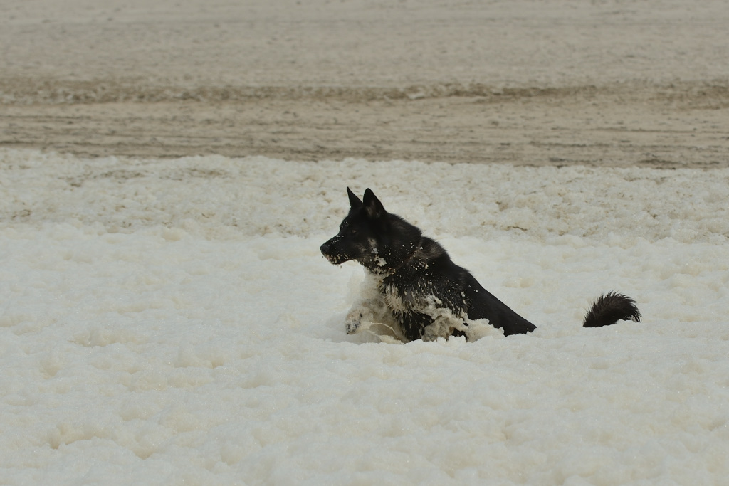 DSC_0039_00013.jpg